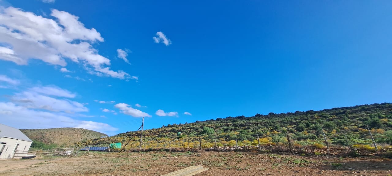 2 Bedroom Property for Sale in Oudtshoorn Rural Western Cape